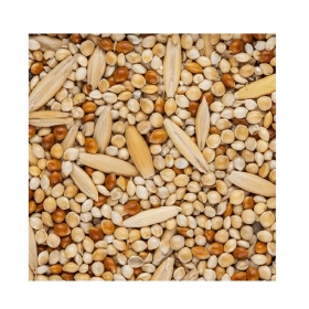 Pets / Poultry / Wild Birds | KVBK Online Shop
